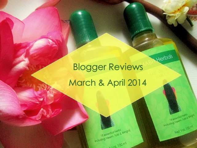 blogger reviews
