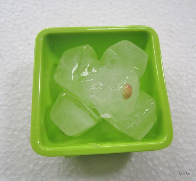 diy lemon ice cube toner